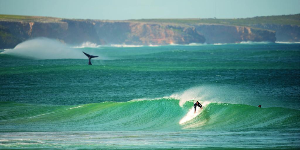 Warrnambool Motel And Holiday Park Esterno foto